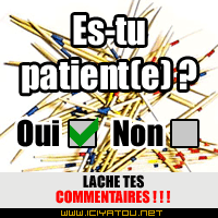 oui ou non